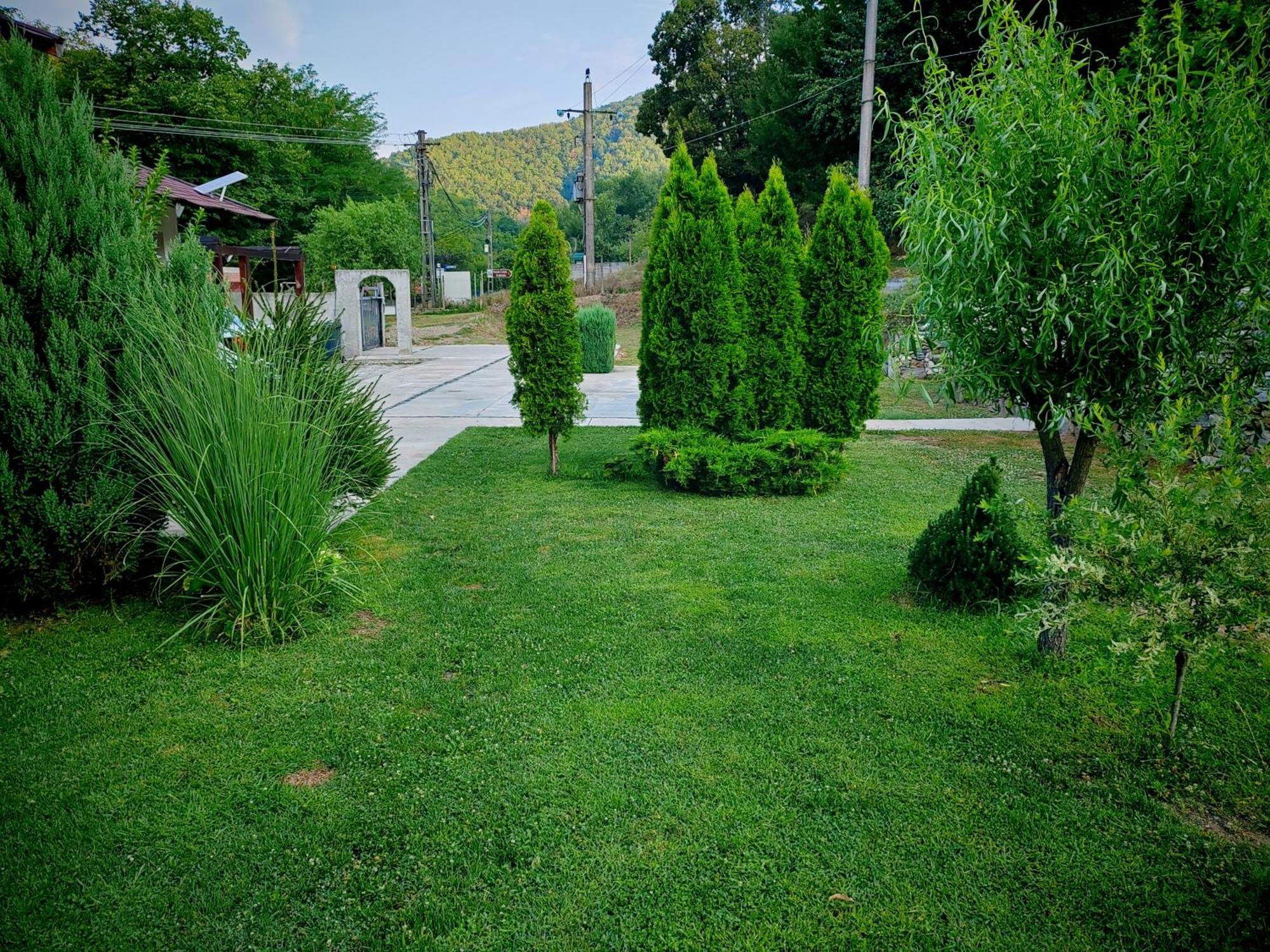 Taverna Gradetului Schitu Topolnitei Exterior foto